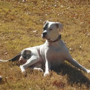 Meet your Posher, Rick